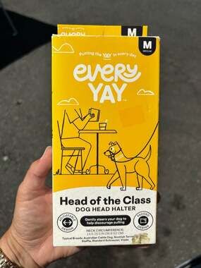 Every Yay Head of the Class Dog Head Halter, Medium